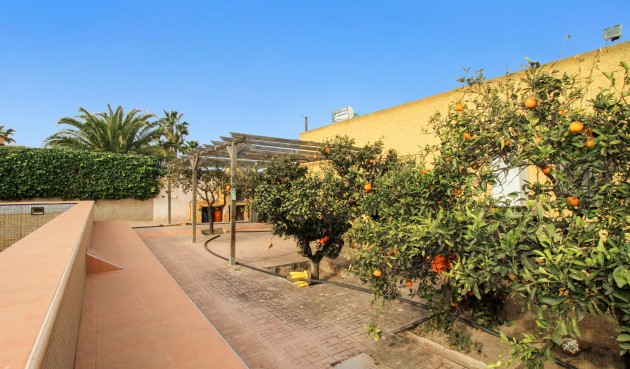 Resale - Villa -
El Algar - Inland