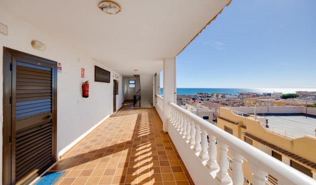 Brukt - Apartment -
Torrevieja - Costa Blanca