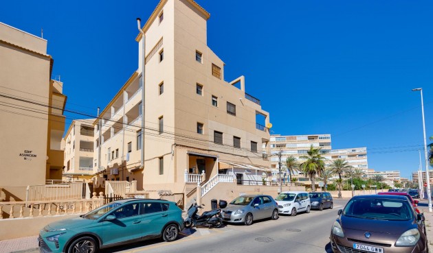 Brukt - Apartment -
Torrevieja - Costa Blanca