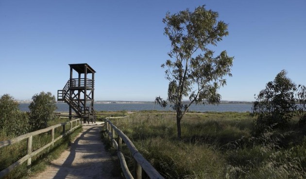 Nybygg - Bungalow -
Torrevieja - Torrejón