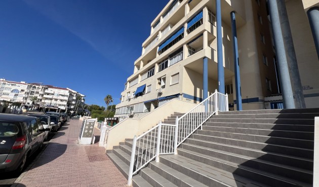 Resale - Apartment -
Torrevieja - Costa Blanca