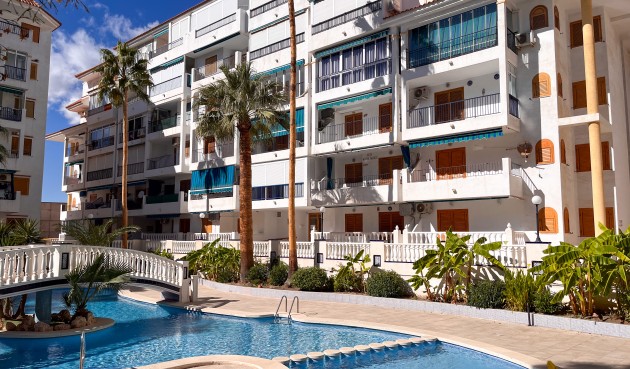 Resale - Apartment -
Torrevieja - Costa Blanca