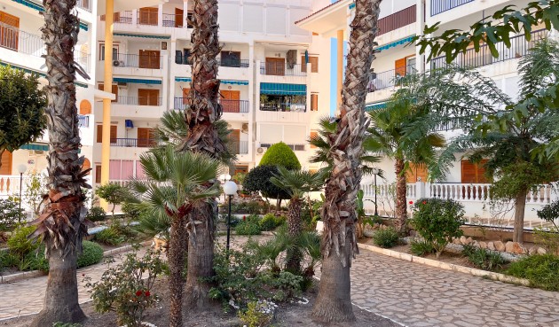 Resale - Apartment -
Torrevieja - Costa Blanca