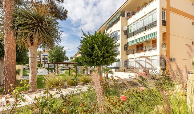 Resale - Apartment -
Torrevieja - Costa Blanca