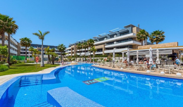 Brukt - Apartment -
Playa Flamenca - Costa Blanca