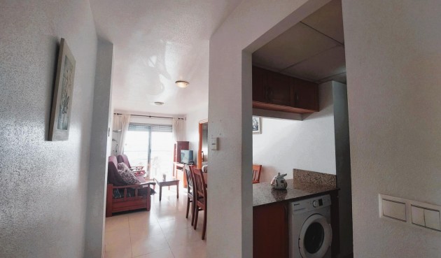 Resale - Apartment -
Torrevieja - Costa Blanca