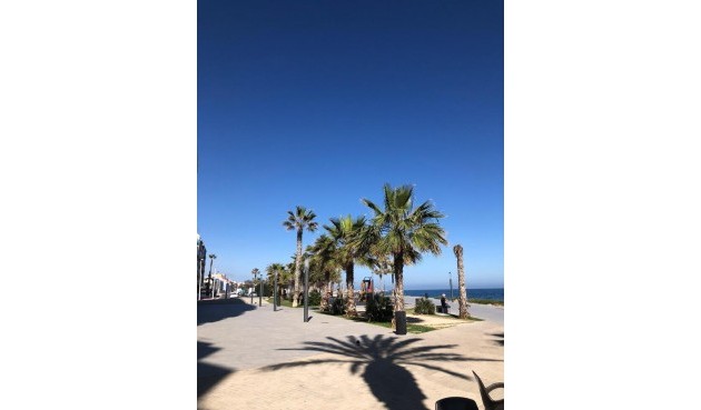 Brukt - Apartment -
Torrevieja - Costa Blanca