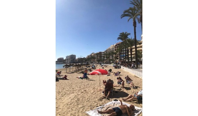 Återförsäljning - Apartment -
Torrevieja - Costa Blanca