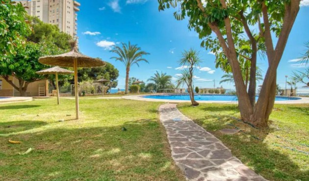 Återförsäljning - Apartment -
Benidorm - Costa Blanca