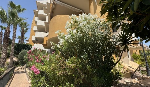 Återförsäljning - Apartment -
Torrevieja - Costa Blanca