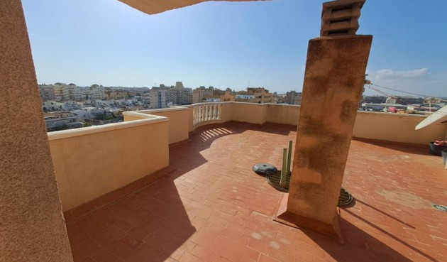 Brukt - Apartment -
Torrevieja - Costa Blanca