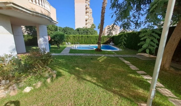 Brukt - Apartment -
Torrevieja - Costa Blanca