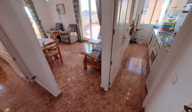 Brukt - Apartment -
Torrevieja - Costa Blanca