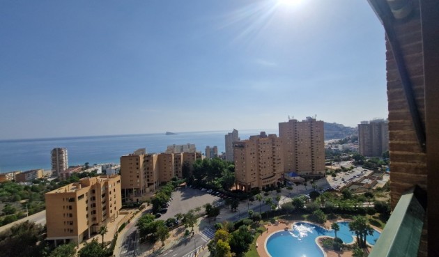 Brukt - Apartment -
Benidorm - Costa Blanca