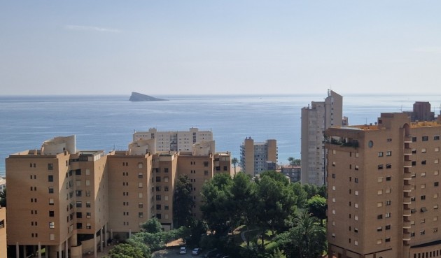 Brukt - Apartment -
Benidorm - Costa Blanca