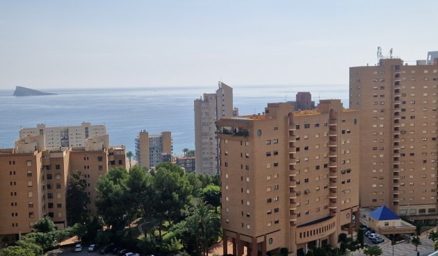 Brukt - Apartment -
Benidorm - Costa Blanca