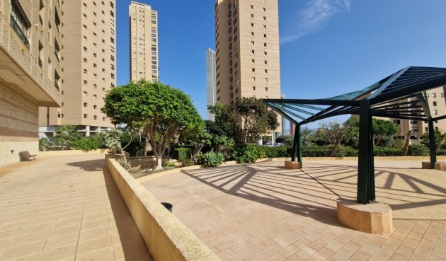 Brukt - Apartment -
Benidorm - Costa Blanca