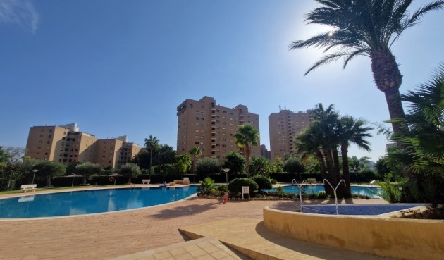 Brukt - Apartment -
Benidorm - Costa Blanca