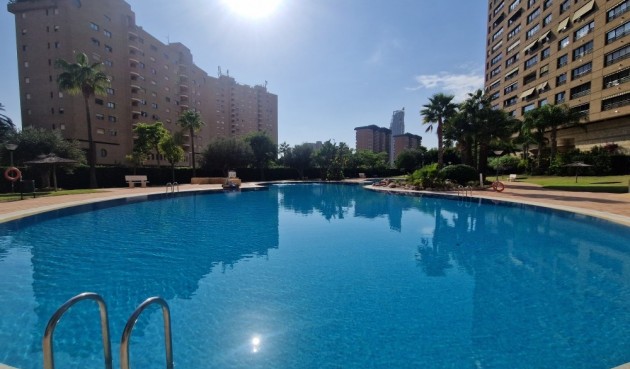 Brukt - Apartment -
Benidorm - Costa Blanca