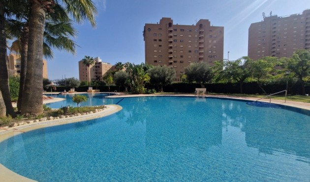 Brukt - Apartment -
Benidorm - Costa Blanca