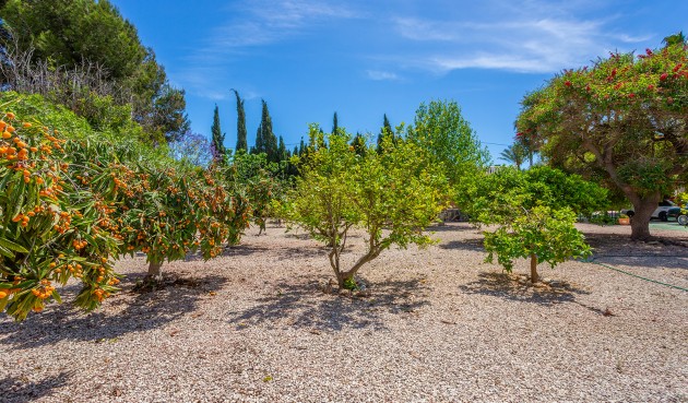 Brukt - Villa -
Daya Vieja - Costa Blanca