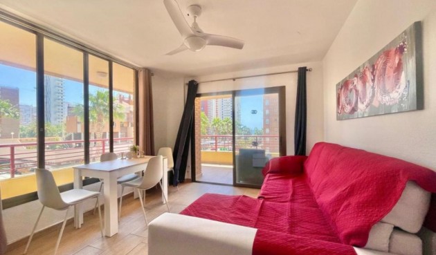 Brukt - Apartment -
Benidorm - Costa Blanca