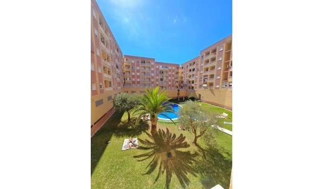 Brukt - Apartment -
Torrevieja - Centro