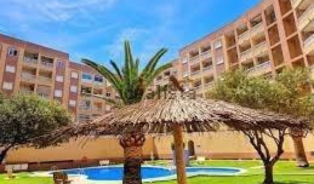 Brukt - Apartment -
Torrevieja - Centro