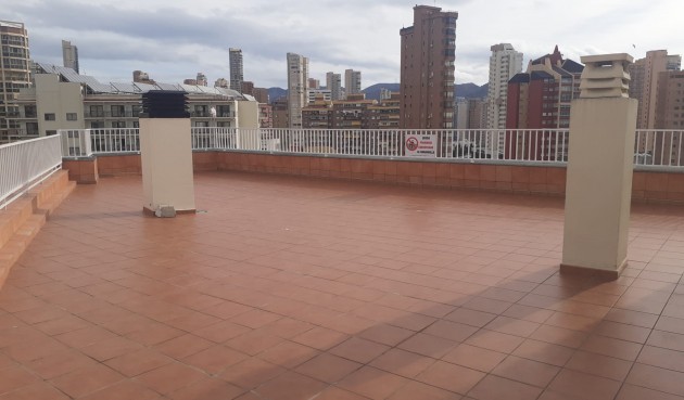 Brukt - Apartment -
Benidorm - Costa Blanca