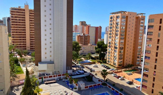 Brukt - Apartment -
Benidorm - Costa Blanca