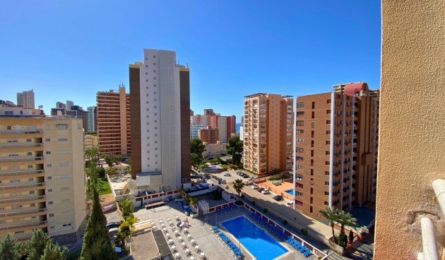 Brukt - Apartment -
Benidorm - Costa Blanca