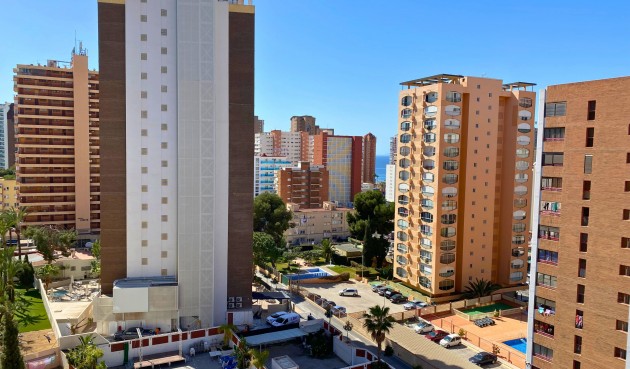 Brukt - Apartment -
Benidorm - Costa Blanca