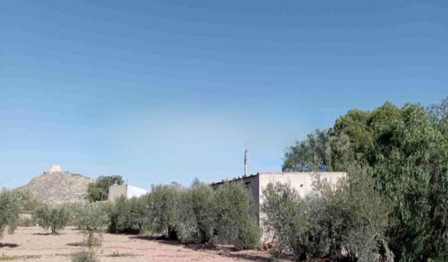 Brukt - Villa -
Jumilla - Inland