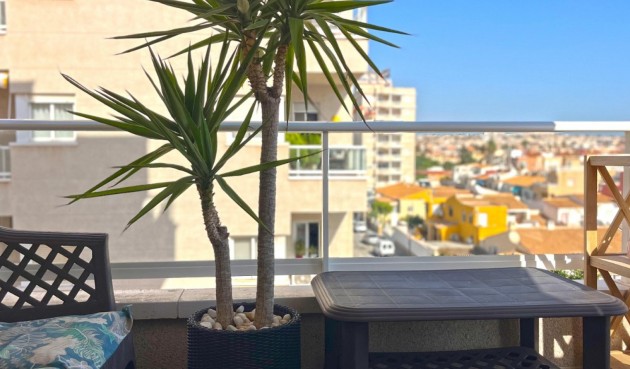 Brukt - Apartment -
Torrevieja - Costa Blanca