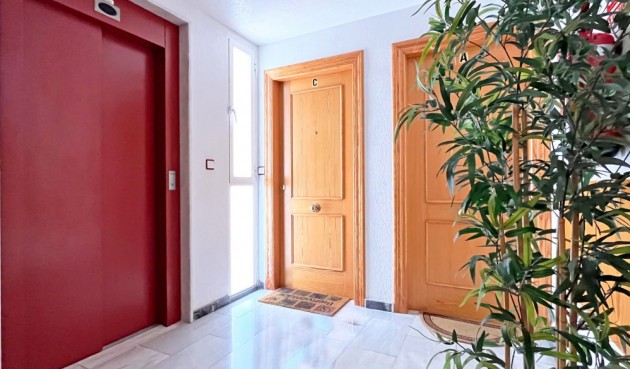 Brukt - Apartment -
Torrevieja - Costa Blanca