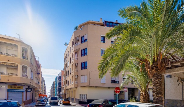 Reventa - Apartment -
Torrevieja - Costa Blanca