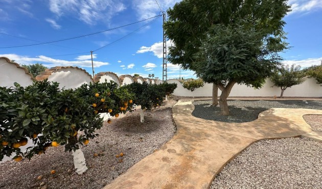 Resale - Villa -
Catral - Costa Blanca