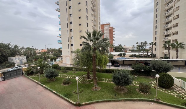 Återförsäljning - Apartment -
Torrevieja - Costa Blanca