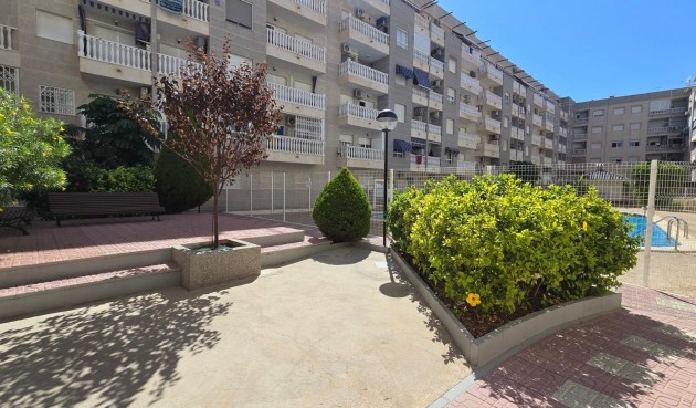 Brukt - Apartment -
Torrevieja - Centro