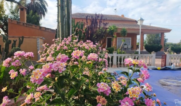 Resale - Villa -
Elche - Costa Blanca