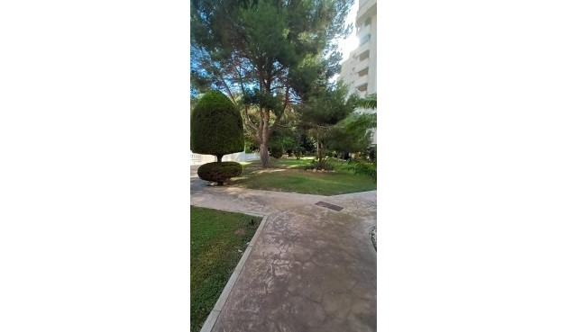 Resale - Apartment -
Orihuela Costa - Campoamor