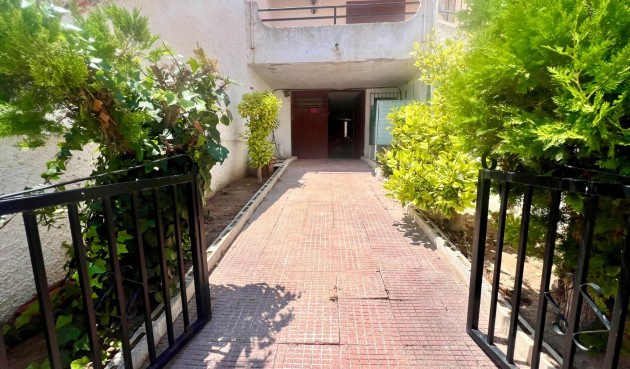 Reventa - Town House -
Torrevieja - Los Balcones