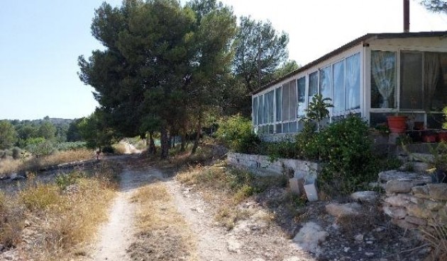 Reventa - Villa -
Monóvar/Monóver - Cañada Vellongas