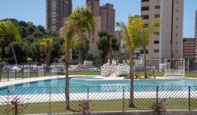 Återförsäljning - Apartment -
Benidorm - Costa Blanca