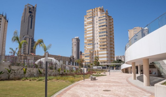 Återförsäljning - Apartment -
Benidorm - Costa Blanca