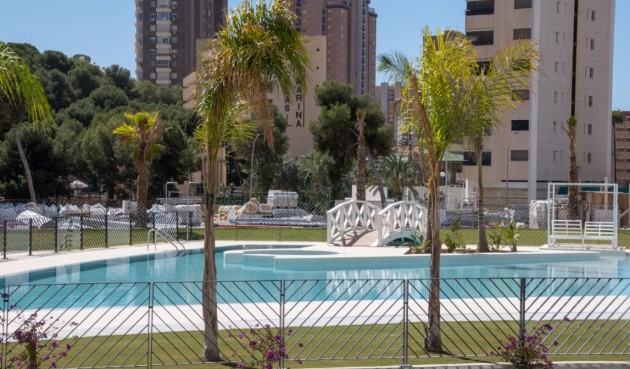 Reventa - Apartment -
Benidorm - Costa Blanca