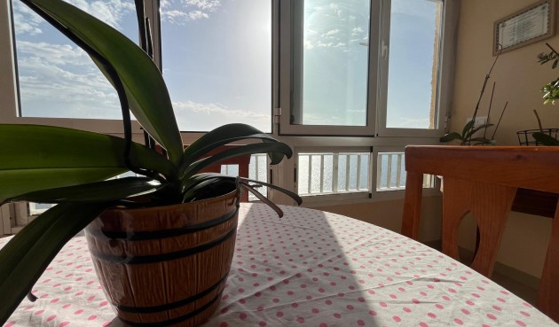 Reventa - Apartment -
Torrevieja - Playa del Cura