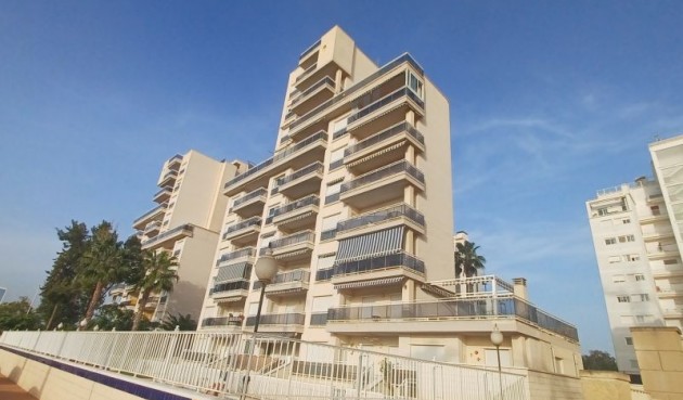 Resale - Apartment -
Guardamar del Segura - Costa Blanca