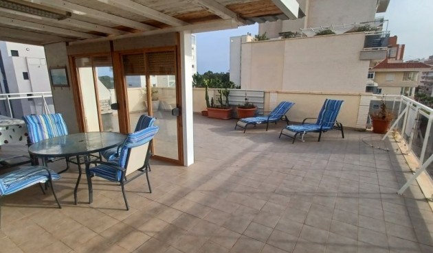 Resale - Apartment -
Guardamar del Segura - Costa Blanca