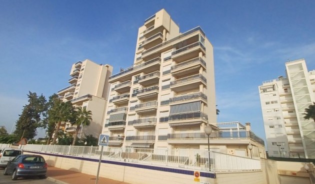 Resale - Apartment -
Guardamar del Segura - Costa Blanca